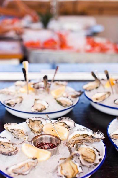 Where to find the best Oysters in Sydney? AT Newport!