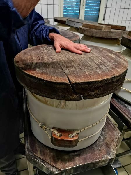 This heavy wooden lid is used to press the cheese wheel and force out the remaining water content . It is also wrapped with a plastic stencil that imprints the date of manufacture and other important markers, during this process